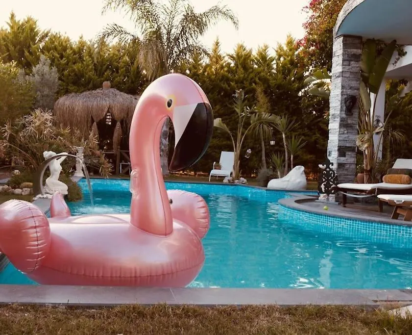 Villa Memories Guemuesluek'Te Oezel Havuzlu Villa Bodrum
