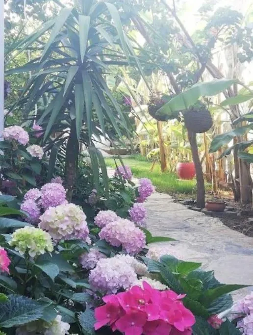 Villa Memories Guemuesluek'Te Oezel Havuzlu Villa Bodrum Turkey