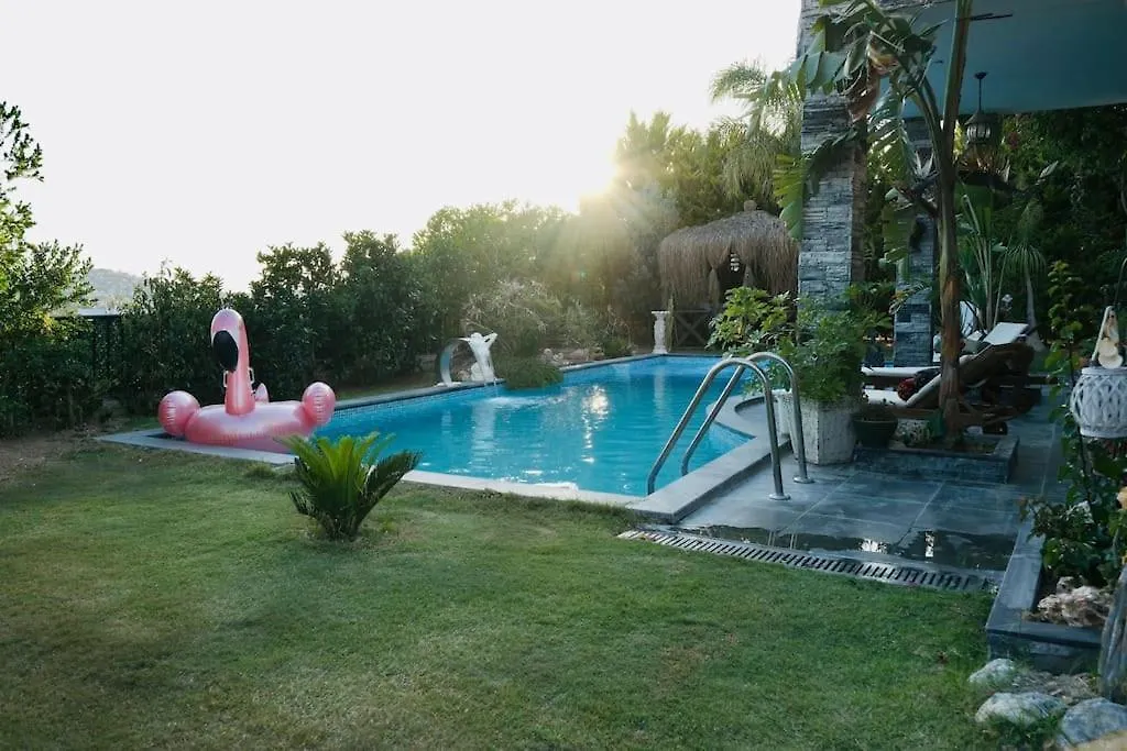 Villa Memories Guemuesluek'Te Oezel Havuzlu Villa Bodrum Turkey